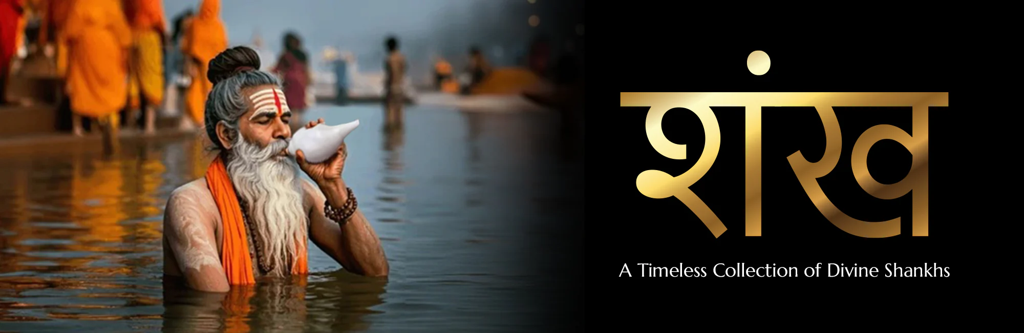 Shank-2_45cddd2a-3696-43c2-976f-2bb5f708d93d