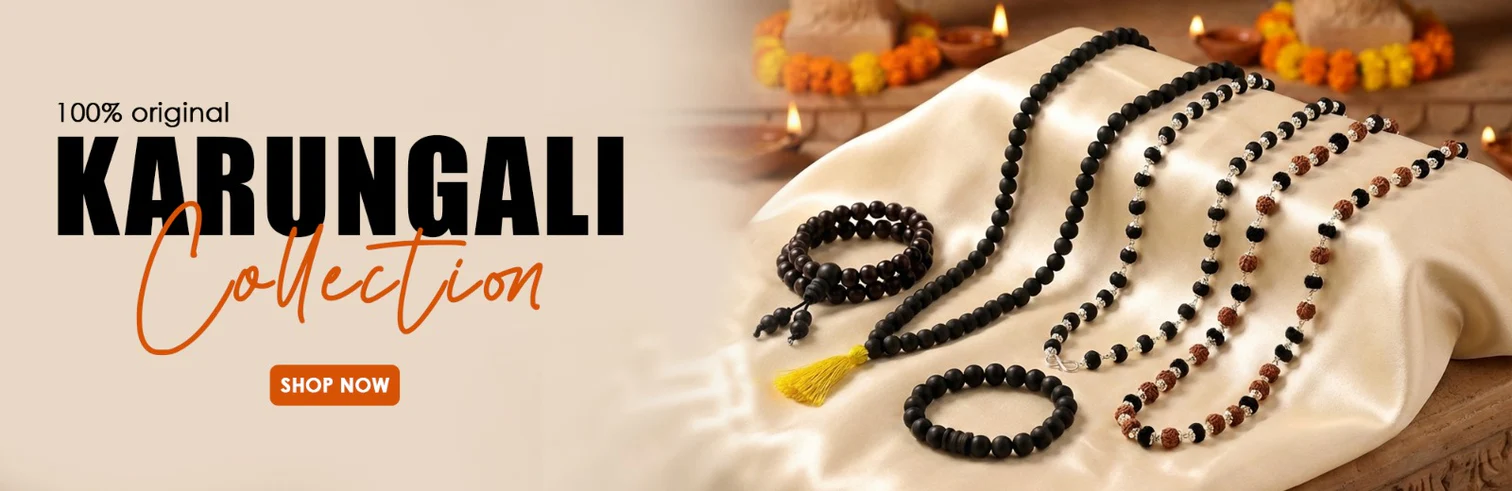 WhatsApp_Image_2026-03-03_at_2.48.02_PM_1512x